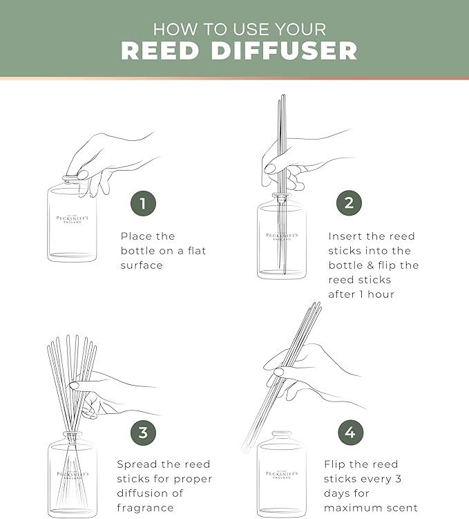 Pecksniff's Aroma Therapy Re-Covery Reed Diffuser, 100 ml/3.38 Fl Oz