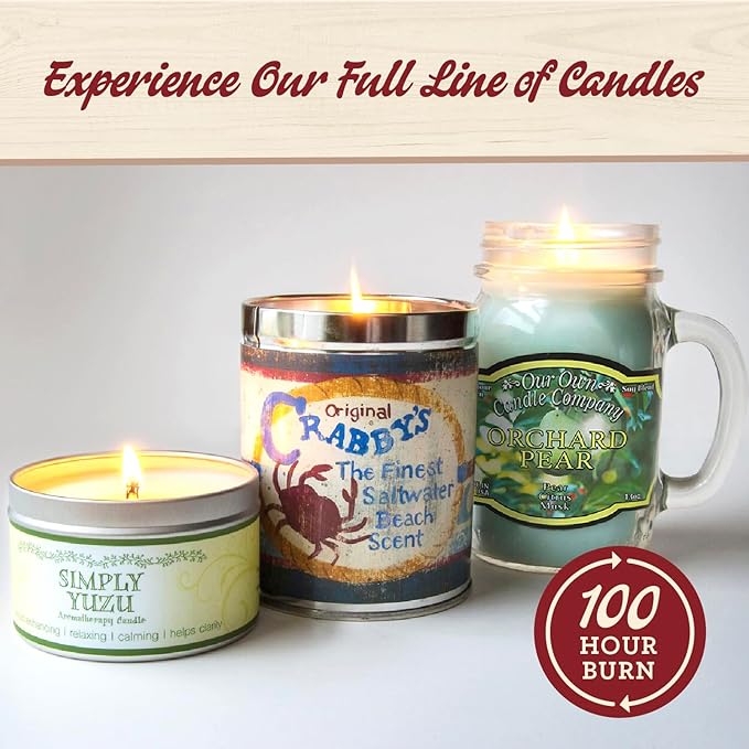 Our Own Candle Company, Winter Wonderland Scented Mason Jar Candle, 100 Hour Burn Time, Made in The USA - 13 Ounces