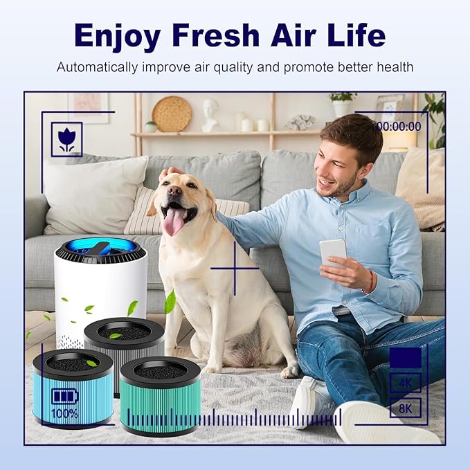 PETOX MK01 & MK06 True HEPA Filter Replacement for MK01 MK06, TZ-K1 and DH-JH01 Air Purifier, Smoke Remover Version, Grey, 4 Pack