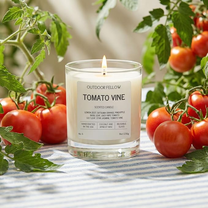 Outdoor Fellow Tomato Vine Scented Candle – 8oz Coconut Wax Blend – Strong Scent Throw – Inspired by Backyard Tomato Plants – Luxury Tomato Leaf Candle in Reusable Glass Jar
