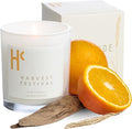 Harvest Festival Fragrance - Single Wick Soy Candles - Up to 60 Hour Burn Time, Cruelty-Free Soy Candle Wax Blend - Pumpkin Fragrance, Notes of Amber & Orange (9 oz)