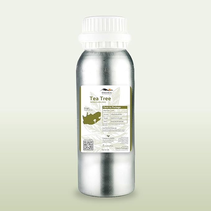 Tea Tree Essential Oil - Direct from Kwazulu Botanicals South Africa - Steam Distilled - Aceite Esencial de Árbol de Té for Aromatherapy, Diffuser, DIY Candle and Soap Making - 2lbs