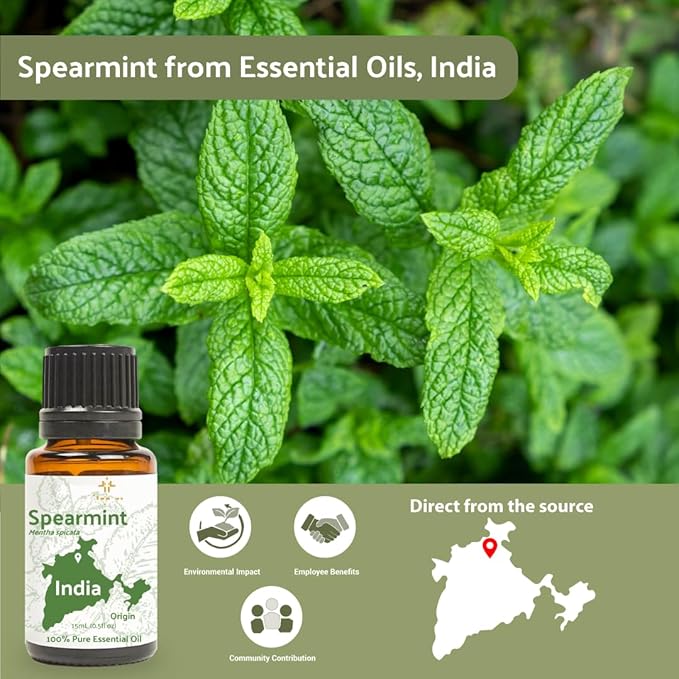 Spearmint Essential Oil - Direct from Essential Oils India - Steam Distilled - Aceite Esencial de Menta Verde for Aromatherapy, Massage, Diffuser, DIY Candle and Soap Making - 15ml