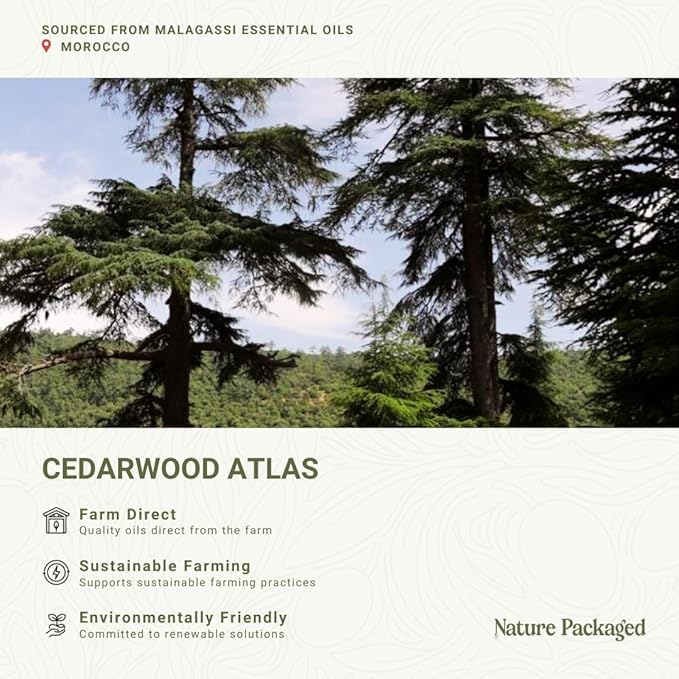 Pure Cedarwood (Atlas) Essential Oil (15ml) - Direct from Malagassi Essential Oils Farm in Morocco - Essential Oils for Diffusers and Aromatherapy | Pure Therapeutic Grade
