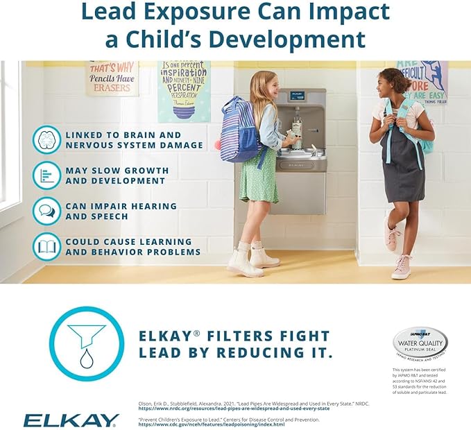 Elkay 51300C Replacement Filter for EZH2O Bottle Filling