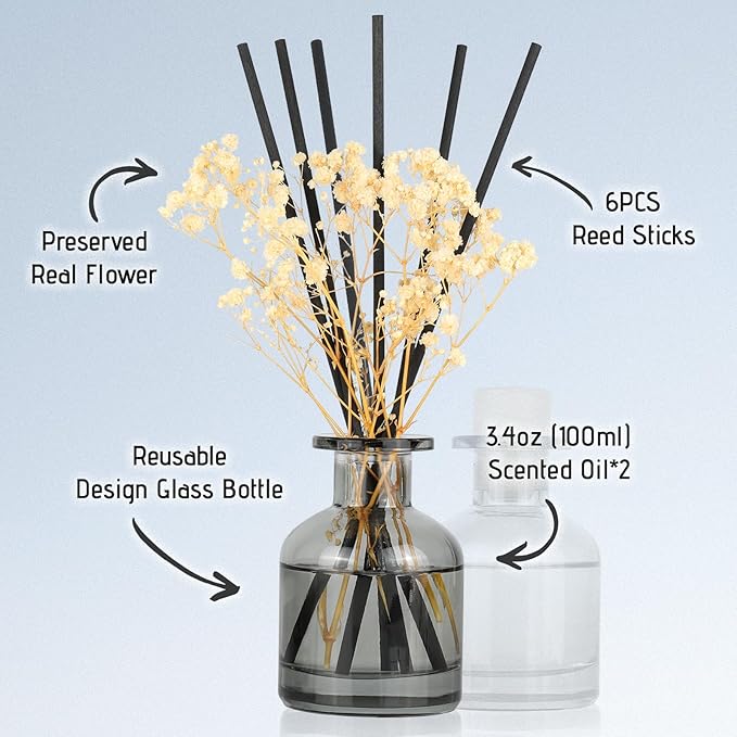 Brakula 2 Pack Reed Diffuser, Eucalyptus & Wild Mint+Lavender Vanilla (3.38 fl oz Each Pack), Home Fragrance with 12 Sticks, Shelf Decor, Reed diffusers for Home
