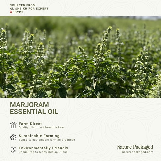Marjoram Essential Oil - Direct from Al Sheikh for Export Egypt - Steam Distilled - Aceite de Mejorana for Aromatherapy, Massage, Diffuser, DIY Candle and Soap Making - 22lbs