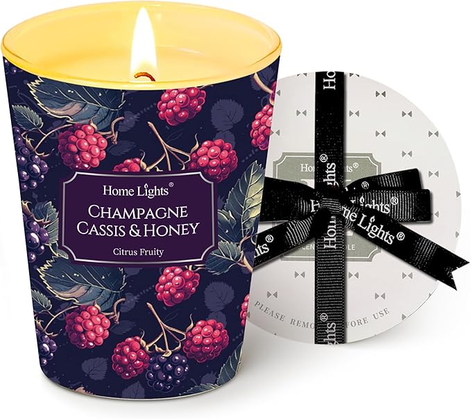 HomeLights Scented Candles for Women & Men, 6.7oz Candle Jars Aromatherapy Single Wick Candle, Ideal for Eclectic Mixed Styles Home Decor and Gifts, Champagne Cassis & Honey