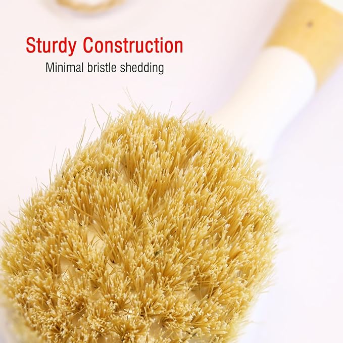 JouiiSiYa Natural Bristle Dish Brush Set, 1 Wooden Dish Brush and 1 Bamboo Dish Brush with 1 Bamboo Drainer Tray, All Circle Kitchen Scrub Brush for Dishes