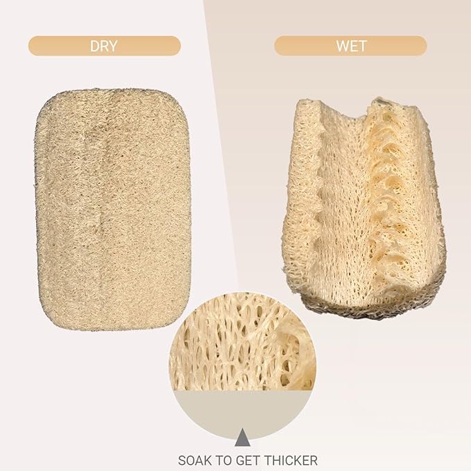 SageHearth Natural Loofah Dish Sponge 10 Pack – Eco Friendly Biodegradable Kitchen Scrubber for Dishes, Pots & Pans