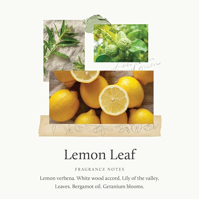 Thymes Pura Refills – 2 Pack of Oil Diffuser Scents – Long-Lasting Pura Diffuser Refills – Premium Home Fragrance – Citrus Notes of Lemon Verbena, Dewey Leaves & Bergamot (Lemon Leaf, Pack of 2)
