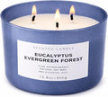 Eucalyptus Evergreen Forest 3-Wick Soy Candle, 15.8 oz | Winter Pine, Balsam Fir & Evergreen Scented Candle | Woodsy Aromatherapy Candle for Home | Clean Burn, Long-Lasting