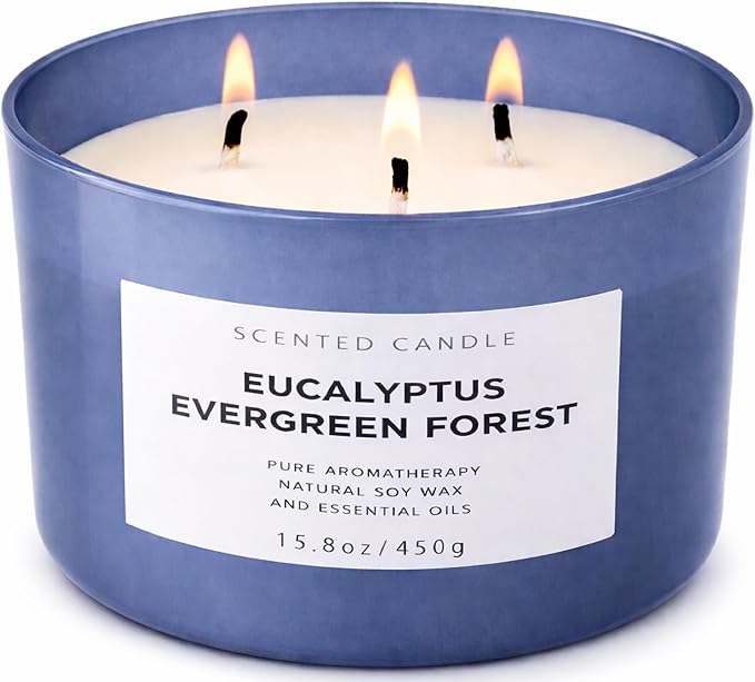 Eucalyptus Evergreen Forest 3-Wick Soy Candle, 15.8 oz | Winter Pine, Balsam Fir & Evergreen Scented Candle | Woodsy Aromatherapy Candle for Home | Clean Burn, Long-Lasting