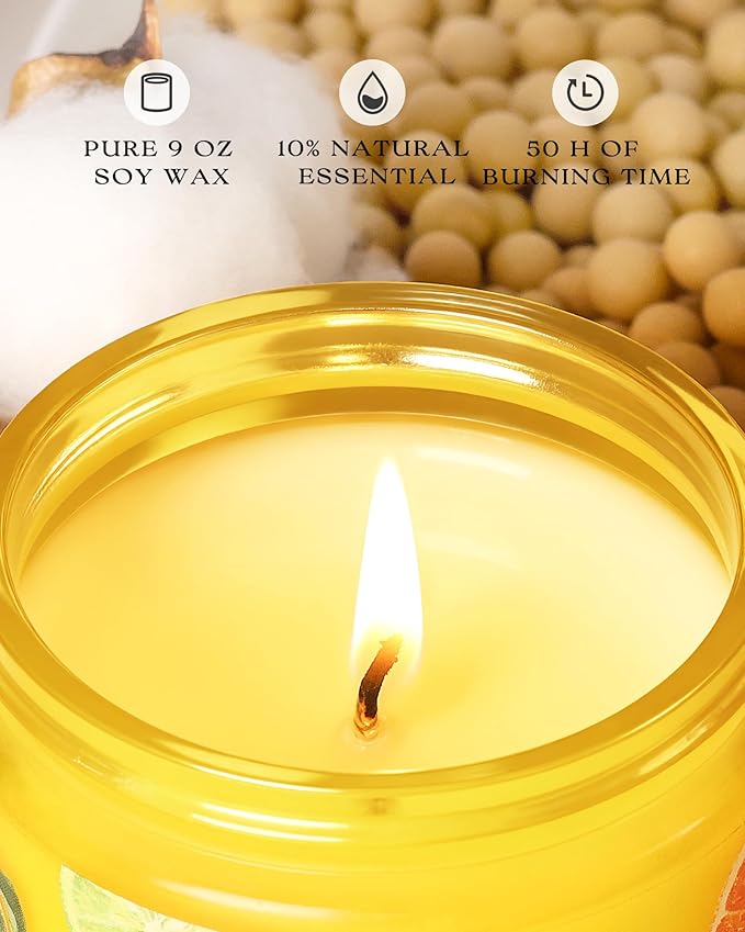 AOOVOO 2 Pack Citrus Lemon Pet Odor Eliminating Highly Fragranced Candle - Eliminates 95% of Pet, Smoke, Food, and Other Smells Quickly, Air Freshing Soy Candle
