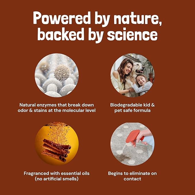 Sunny & Honey Pet Stain Remover - Enzyme Cleaner For New & Deep Set Stains - Carpet Deodorizer & Urine Odor Eliminator for Dog Pee, Cat Urine, Upholstery & Furniture (32 fl oz, Fall Spice)