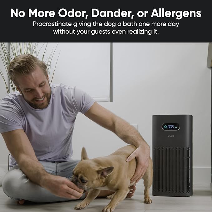 Wyze Air Purifier with Wildfire Filter (Special), for Living Room, Kitchen, HEPA 13, 21db Quiet, with Sleep Mode, Air Cleaner for Smoke, Pollen, Dander, Hair, 550 sq ft, Smart WiFi Alexa Google, Black