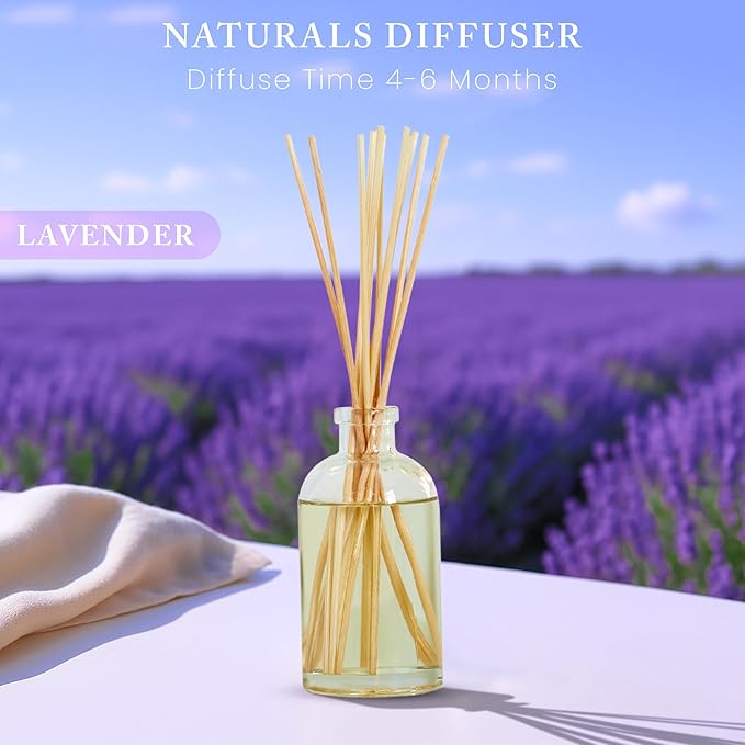 Hillhouse Naturals Reed Diffuser Set - Lavender Scent Diffuser - Reed Diffusers for Home with Long Lasting Fragrance – 6 oz Oil – Diffuse Time 4-6 Months – Made in The USA