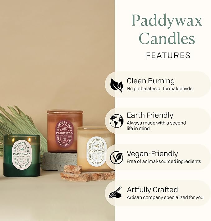 Paddywax Vista Scented Candle with Lid in Reusable Tonal Glass Jar, Clean-Burn 2-Wick Soy Candle with Approx. 84 Hour Burn Time, Decorative Gift Candles for Home, Redwoods & Amber, 12 oz
