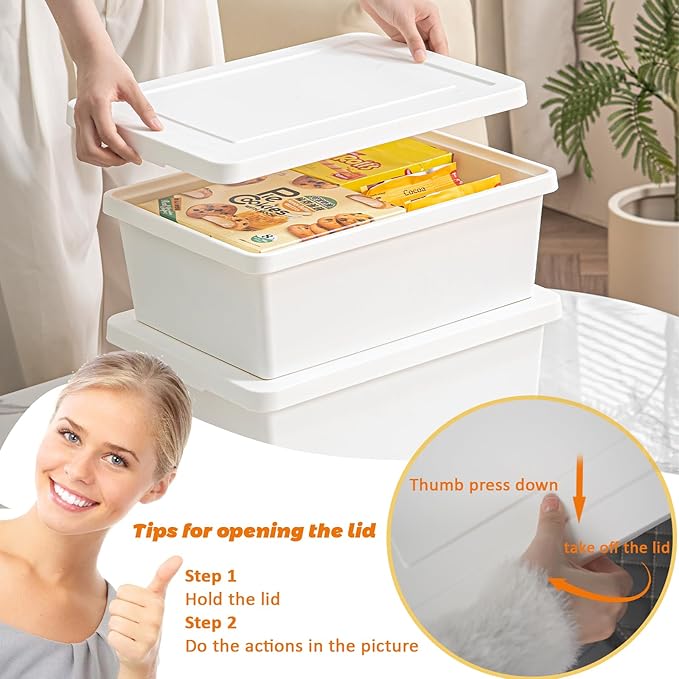 6gal+3gal high-end White multifunction storage box with lid, Set of 4 Stackable Plastic Boxes with Handles, Suitable for Garage and Home Storage, Waterproof and Moisture-Proof （2XXL+2L