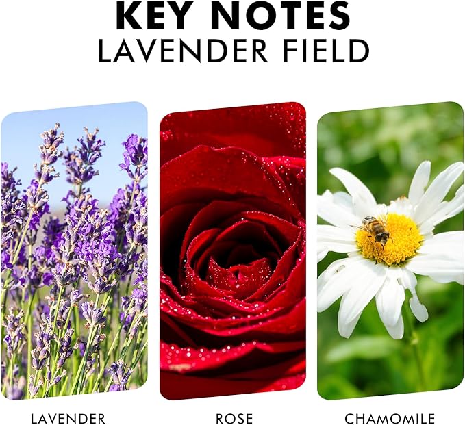 Reed Diffuser Set, Lavender Field Oil Diffuser with Sticks, Long-Lasting Home Fragrance Reed Diffusers for Bathroom Shelf Office Decor, Luxury Air Fresheners 3.7 oz(110ml)