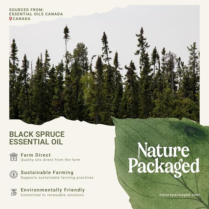Black Spruce Essential Oil from Canada - Pure Essential Oils for Diffuser, Humidifier, or Aromatherapy- Fresh & Forest-Like | Pure Therapeutic Grade (2LBS)