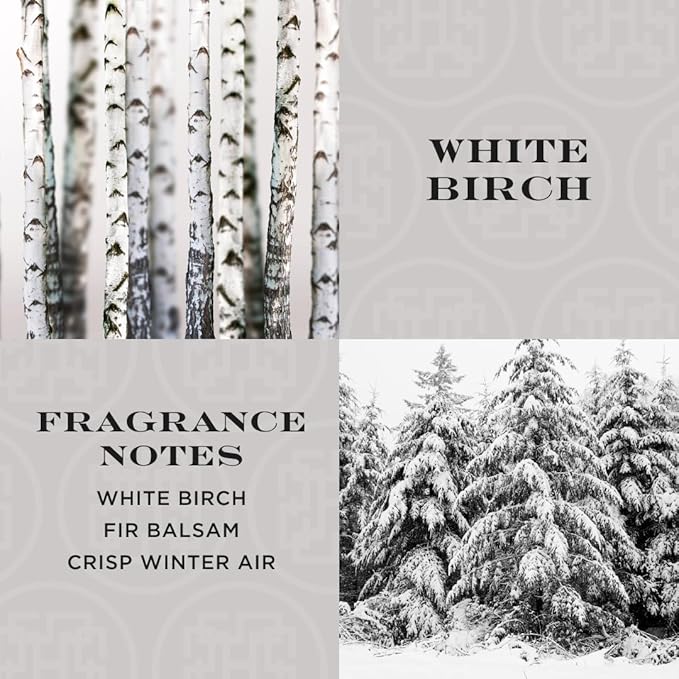 HomeWorx by SLATKIN + CO. Candle- White Birch, 8 oz. Premium Scented Candle - 25-35 Hours Burn Time