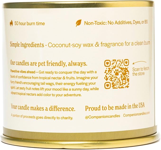 Companion Candles Pet Safe Wood Wick Candle - “You Got This!” Citrus & Tropical Fruits, Coconut Soy Wax Scented, Over 50 Hr Burn Time, Non-Toxic, Women-Owned, Made in USA (11.8 oz.)