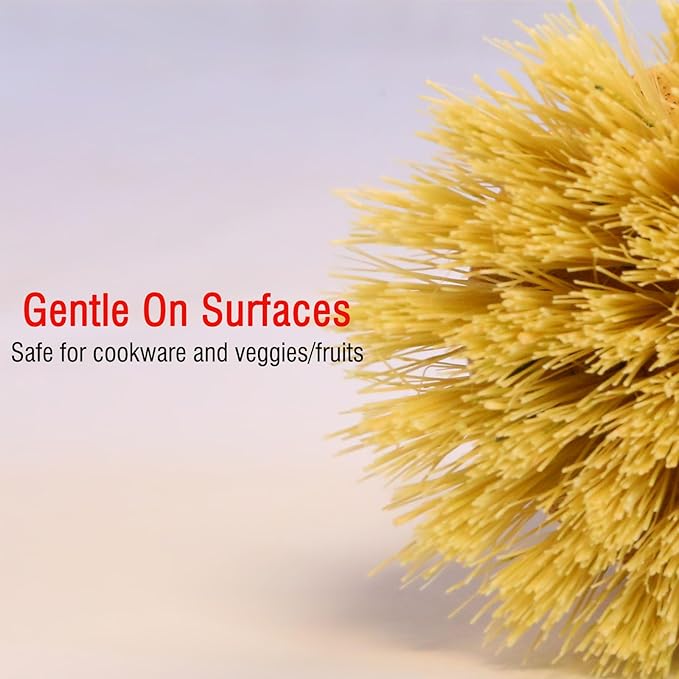 JouiiSiYa Bamboo Vegetable Brush Set, Natural Bristle Dish Brush with Holder, Eco Friendly Soft Dish Scrubber Kitchen Brush for Dishes