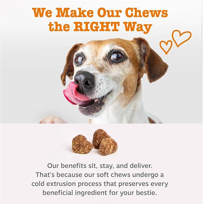 Zesty Paws Dog Allergy Relief Chews, Dog Probiotics for Itchy Skin and Ears, Lamb, 90ct
