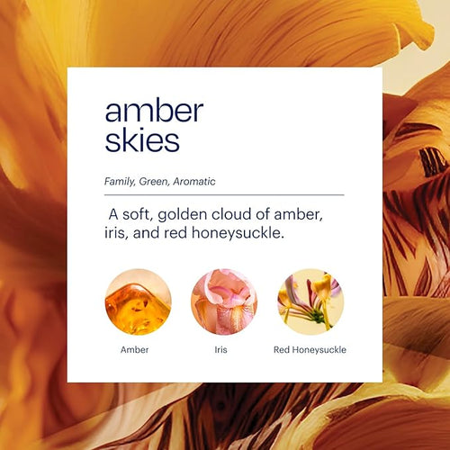 Aera True Loves Amber Skies - Deodorizing Home Fragrance Scent Refill for Pet Odor - Notes of Amber, Iris & Red Honeysuckle - 12.5mL - For Use With Aera Diffuser (Sold Separately)
