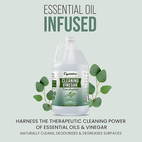 6% Cleaning Vinegar Cleaner (1 Gallon) Eucalyptus Essential Oil Powered for Home, White Industrial Vinegar for Cleaning Purpose and Laundry, Vinager, Vinagre Blanco de Limpieza, Vinger