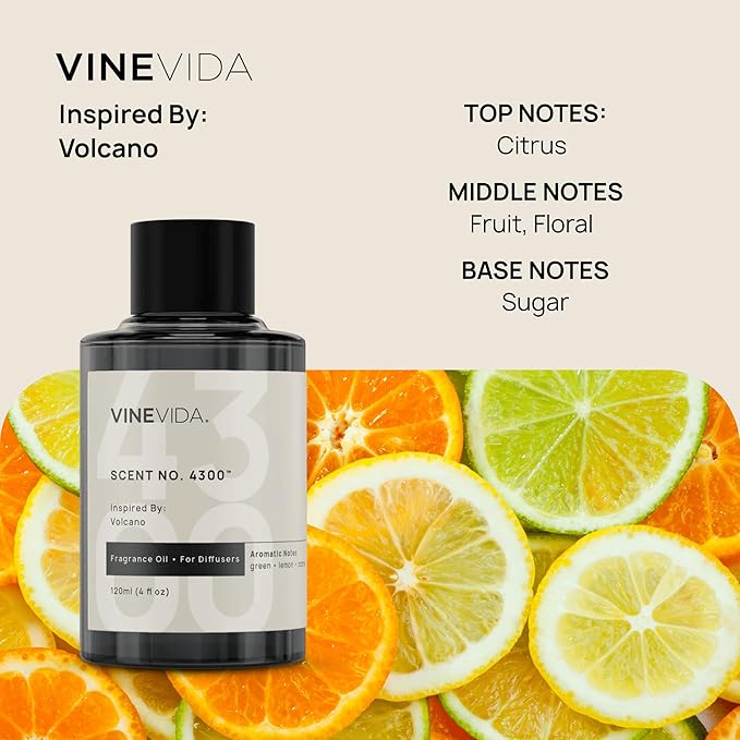VINEVIDA Summer Collection (Pack of 4) - Diffuser Fragrance Oil Set - Cold Air Diffuser Oil
