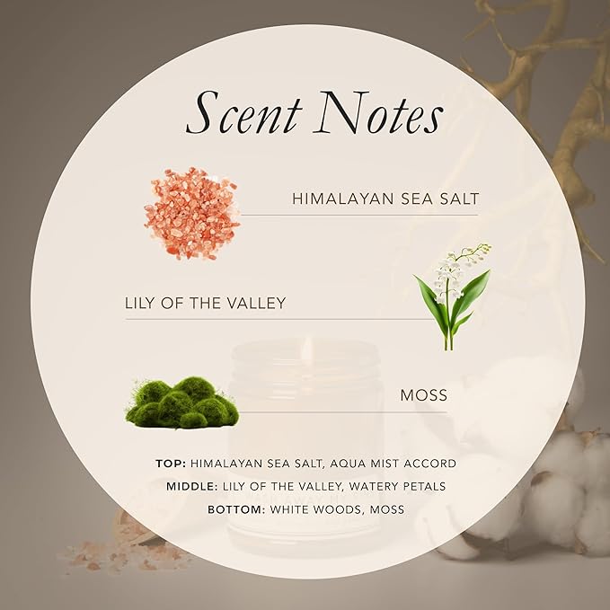 Bia Candle Co Soy Blend Candle, Himalayan Sea Salt, Ozone & Lily of The Valley – Clean Long Burn, Lead-Free Wick, Fresh Linen Aroma, Handmade in USA – Wash Away My Sins Scent, 7 oz
