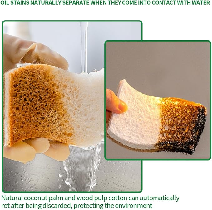 Sponges Kitchen Natural Dish Sponge Plant-Based Biodegradable Compostable Cellulose with Coconut Scrubber Sponge Non Scratch Eco Friendly Kitchen sponges for Kitchen Dishes（Pack of 12）