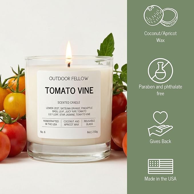 Outdoor Fellow Tomato Vine Scented Candle – 8oz Coconut Wax Blend – Strong Scent Throw – Inspired by Backyard Tomato Plants – Luxury Tomato Leaf Candle in Reusable Glass Jar