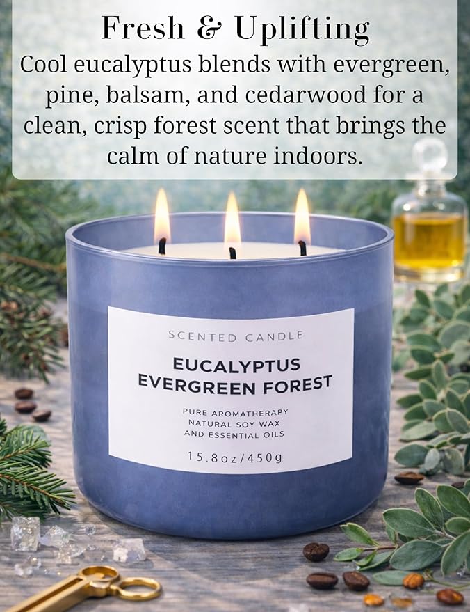 Eucalyptus Evergreen Forest 3-Wick Soy Candle, 15.8 oz | Winter Pine, Balsam Fir & Evergreen Scented Candle | Woodsy Aromatherapy Candle for Home | Clean Burn, Long-Lasting