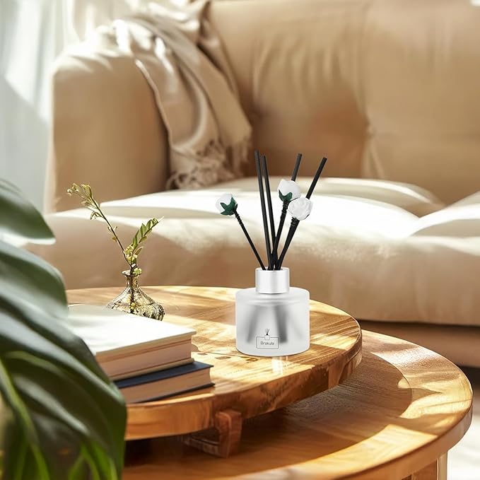 Brakula 2 Pack Reed Diffuser Set, White Jasmine Scented, Home Fragrance with 14 Sticks Bathroom Decor, Reed diffusers for Home 6.76 fl oz (White Jasmine)