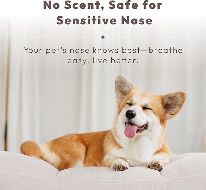 Nova-air Pet Odor Eliminator Spray – Instantly Destroys Odors & Pet Smells by Innovated Ti-Oxy™. Non-toxic, Fragrance-free & Safe for Pets, Home Use. Works on Urine, Litter Boxes, Carpets -10oz