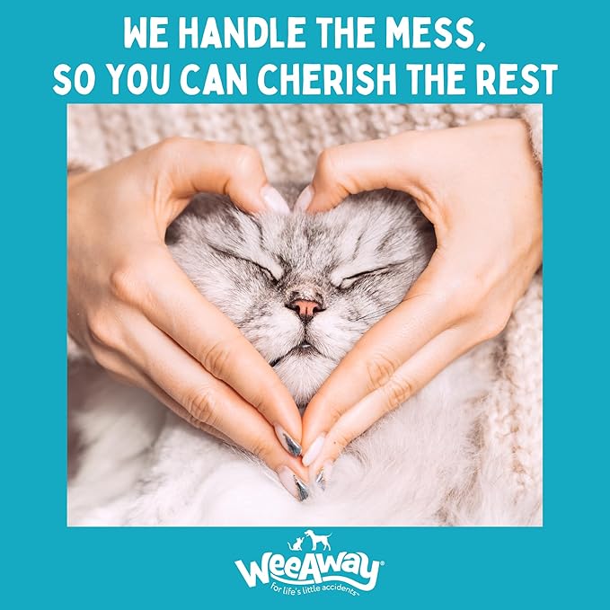 Wee Away X2 Ultra-Concentrated Stain & Strong Odor Eliminator, Enzyme Cleaner, Pet Odor Eliminator for Home - Cat & Kitten Urine Destroyer - Carpet Cleaner Spray, Ocean Breeze, 16 fl oz
