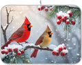 Winter Cardinal Birds Dish Drying Mat for Kitchen Countertop 16x18 Christmas Poinsettia Berry Snow Small Drying Mat Reusable Quick Dry Dish Sink Mats Easy Clean Decorative Essentials