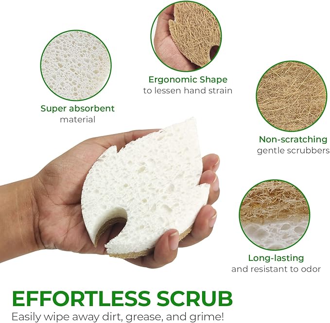 AIRNEX Natural Kitchen Sponges (6 Pack) - Biodegradable Cellulose & Coconut Scrubber Dish Sponge for Kitchen - Eco-Friendly, Non Scratch, Compostable, Non Toxic Leaf Shaped Natural Sponges for Dishes