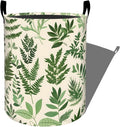Ferns and Leaves Green Botanical Laundry Basket with Handles, 19.7"x15.7" Clothes Foldable Plant Laundry Hamper Organizer for Dorm Nursery Bedroom Bathroom Decor, Toy Storage Bin for Kids