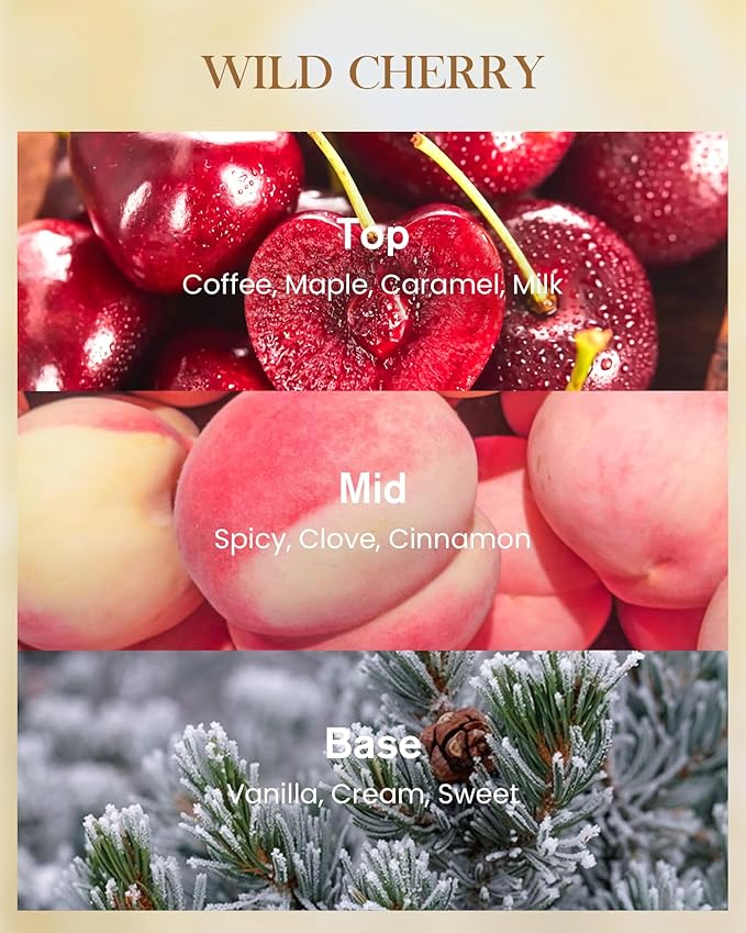 M&SENSE Wild Cherry Soy Candle, 14.1oz 60H Slow Burning, Aromatherapy Candle for Home Fragrance Romantic Winter Gifts for Women Housewarming