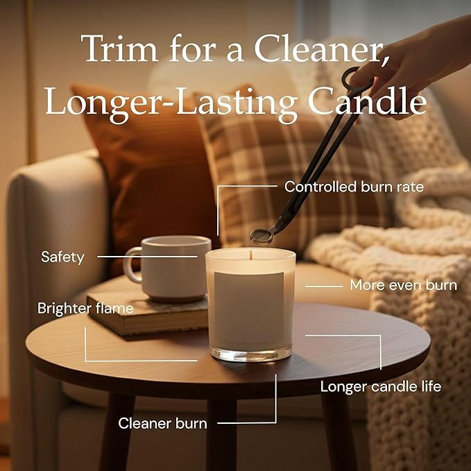 Apple Orchard + Harvest Festival + Welcome Home Scented Candles, Soy Candles, Single Wick Candles, Luxury Candles (9 oz)