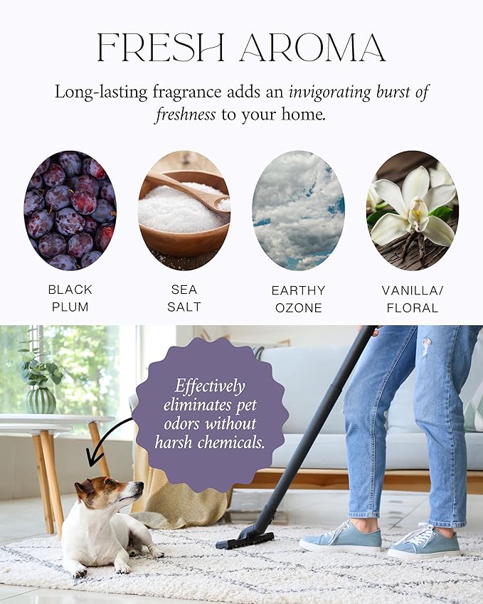 The Diamond Life Home “NOIR LUXE” Carpet Deodorizer Powder – Natural Odor Eliminator for Carpet, Upholstery, Pet Urine, Dog Beds & Cat Litter Boxes – Pet-Friendly – Black Plum, Sea Salt & Ozone
