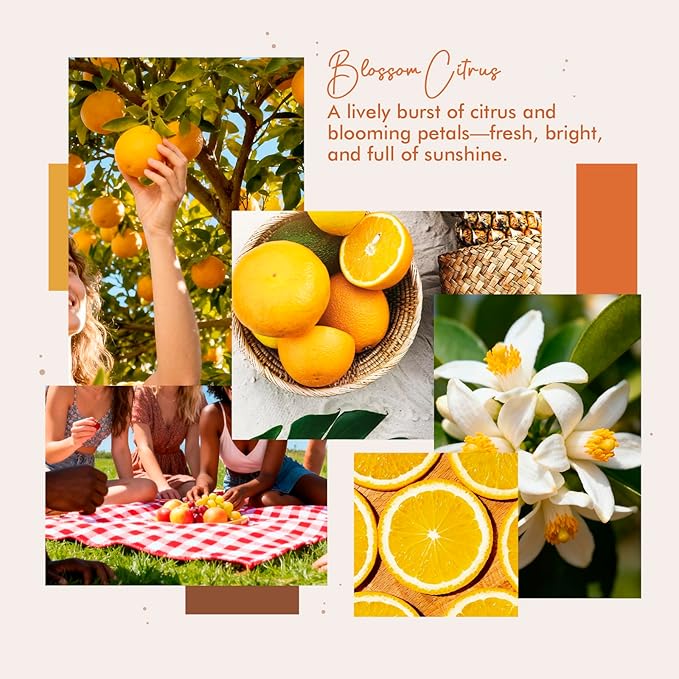 Room Spray, Blossom Citrus, 4 fl oz, Air Freshener for Home, Long-Lasting Odor Eliminator for Bathroom and Office