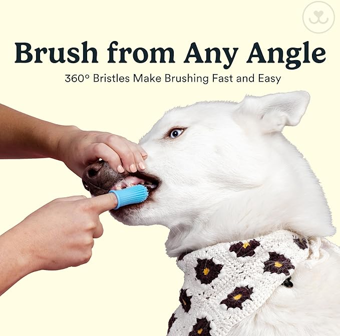 Jasper Dog Toothbrush, 360 Degree Dog Tooth Brushing Kit, Cat Toothbrush, Canine Dental Care & Teeth Cleaning Kit, Pet Finger Tooth Brush, Use with Pet Toothpaste, 2-Pack Clear