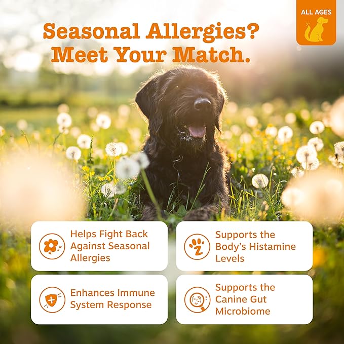 Zesty Paws Dog Allergy Relief Chews, Dog Probiotics for Itchy Skin and Ears, Lamb, 50ct