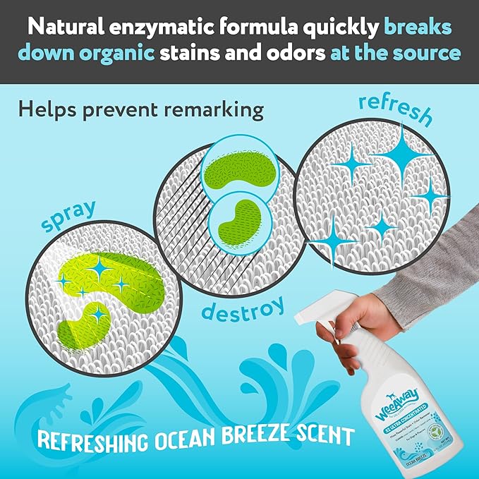 Wee Away X2 Ultra-Concentrated Stain & Strong Odor Eliminator, Enzyme Cleaner, Pet Odor Eliminator for Home - Dog Urine Destroyer - Carpet Cleaner Spray, Ocean Breeze Scent, 16 fl oz