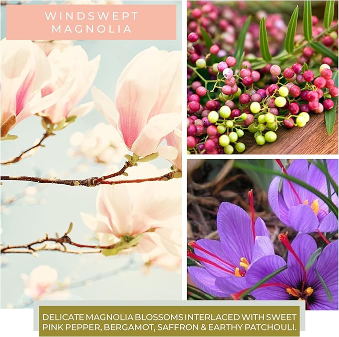 A Cheerful Giver - Windswept Magnolia - 34oz Papa Scented Candle Jar with Lid - Keepers of The Light - 155 Hours of Burn Time, Gift for Mother's Day, Spring Scented Candles
